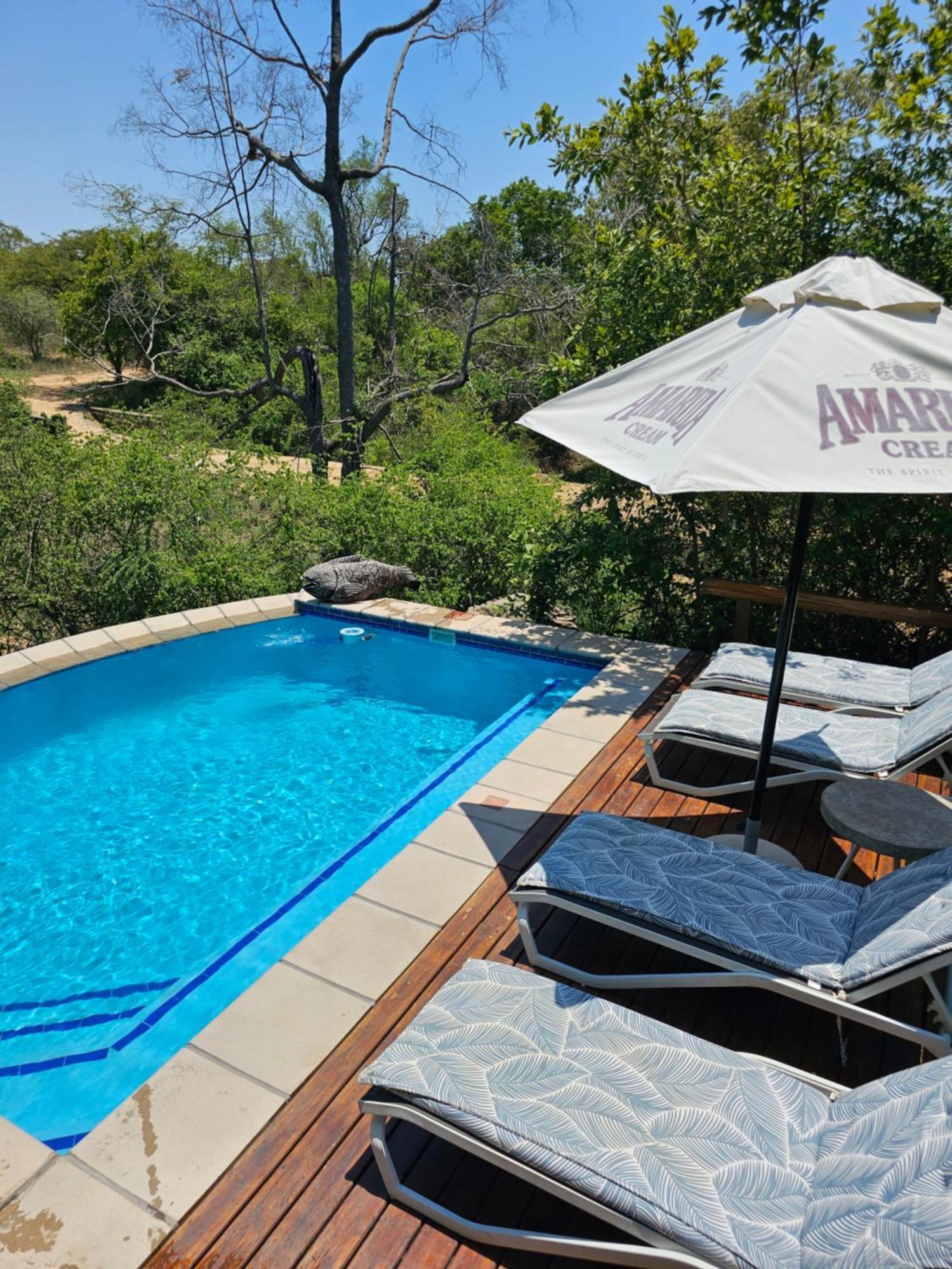 Kingfisher Creek Safari * Hoedspruit